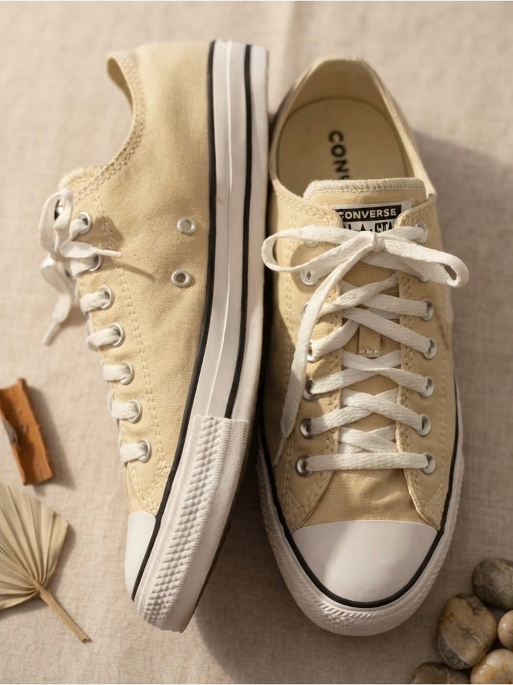 Women's Converse All Star Low Top
Sneakers - Parchment / Tan-
NWOT